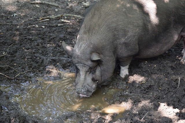 今天是北京时间2025年12月05日星期五,欢迎收看早报！